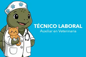 Página Web Carrusel-06