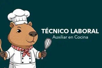 Página Web Carrusel-12