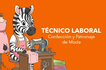 Página Web Carrusel-13